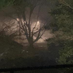 Supressor (Explicit)