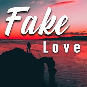 Fake Love (Cover)