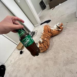 GO (Explicit)