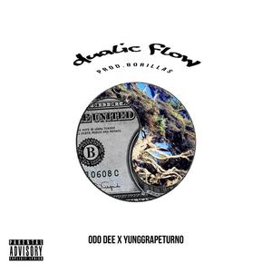 Dualic Flow (Explicit)