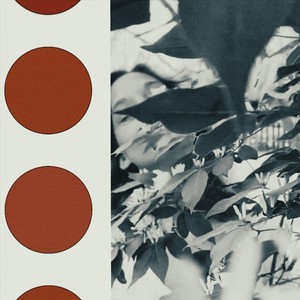 Since You've Been Gone