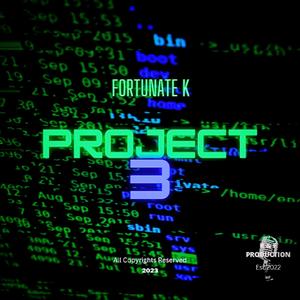 Project 3