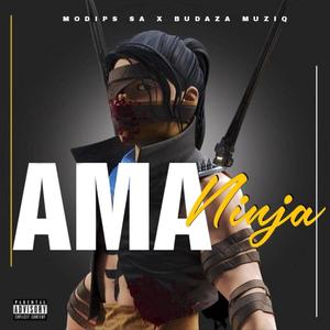 Ama Ninja (feat. Modips SA)
