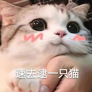 月が泣いてる