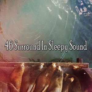 46 Surround in Sleepy Sound