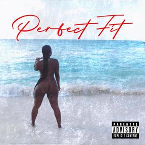 Perfect Fit (Risk It All) (feat. ImKingJames) [Explicit]