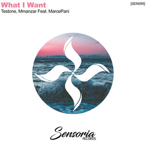 What I Want (Original Mix)