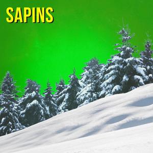 Sapins