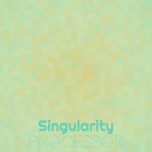 Singularity Processor