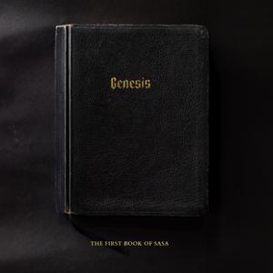 De Schepping (Explicit)