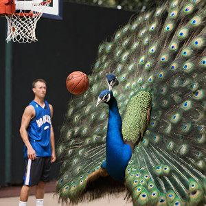 Flap Peacock - I Dont't Jerk (Explicit)