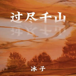 过尽千山封面
