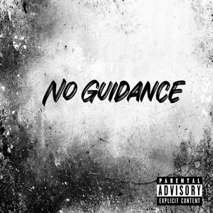 No Guidance (Explicit)