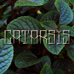 Catarsis