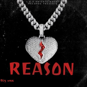 Reasons