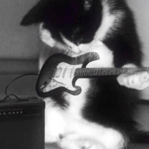 Tellmenow (spedup) (feat. 19MOTH) (Radio Edit|Explicit)