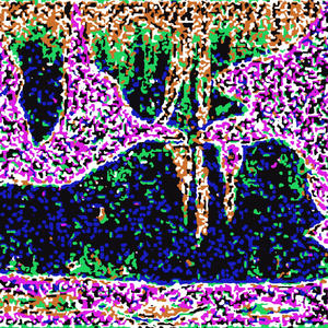 Fair Weather Friends (Acoustic)