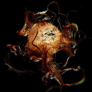 Anti