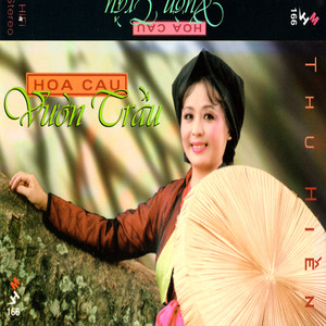 Đi trong Hương Tràm