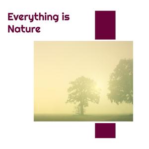 Admirable Woodland Ocean Noise