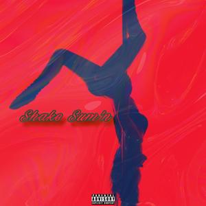 Shake sum'n (feat. RetroCaseYouAintKnow & Jr Prince) (Explicit)