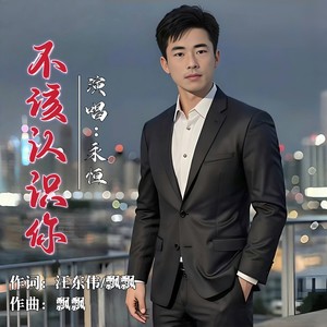 不该认识你 (男版伴奏)