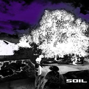 SOIL (Explicit)