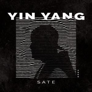 Yin Yang (Explicit)