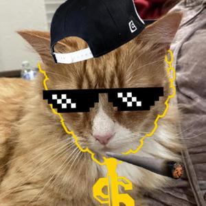 A Cat Named Galaxy! (Inst.)