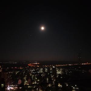 幻昼