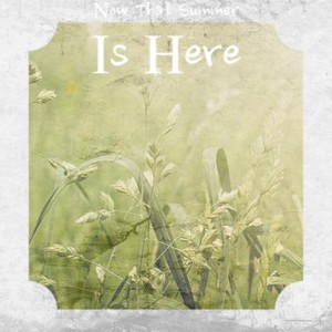 Going Back to New Orleans