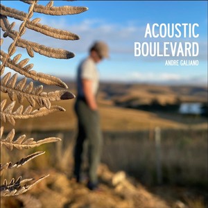 Acoustic Boulevard