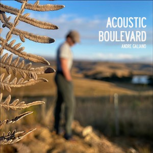 Acoustic Boulevard