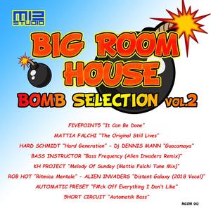 Big Room House Bomb Selection Vol.2