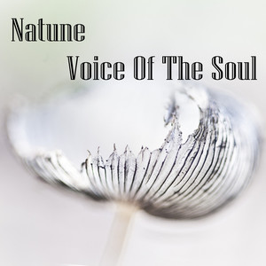 Voice Of The Soul (Explicit)