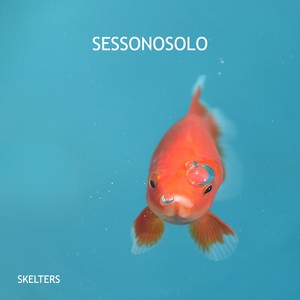 Sessonosolo