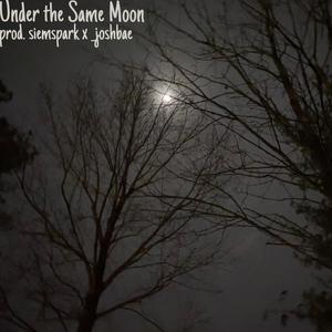 Under the Same Moon