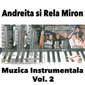 Muzica Instrumentala - Vol. 2