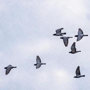 A Través Mio (feat. Sudakillah) (Explicit)