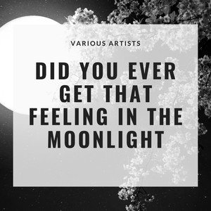 Did You Ever Get That Feeling In the Moonlight