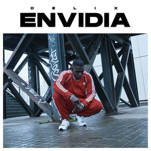 ENVIDIA (Explicit)