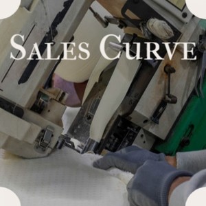 Sales Curve