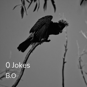 0 Jokes