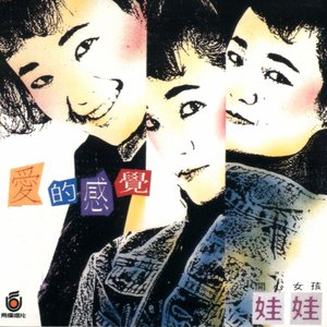 金智娟专辑《爱的感觉》封面图片