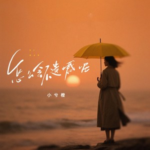 怎么会不遗憾呢