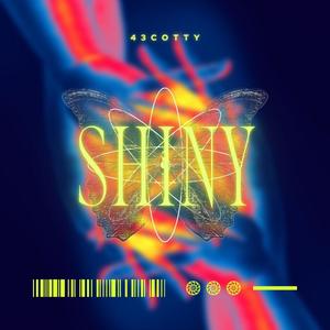 Shiny (Explicit)