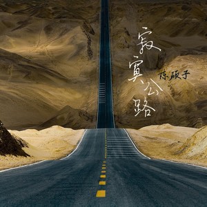 陈硕子 - 寂寞公路