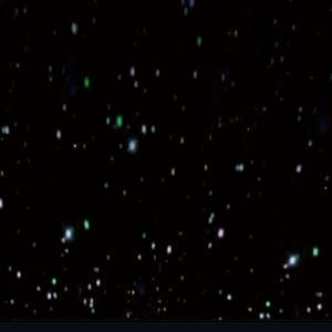 DogShii 2 (feat. Maine) (Explicit)