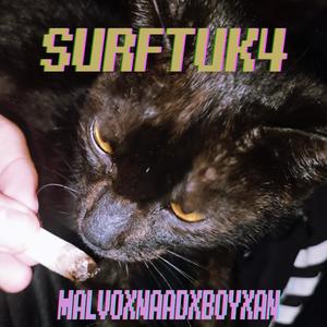 Surf tuk4 (feat. Naad & Boyxan) (Explicit)