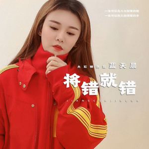 将错就错 (DJheap九天版)